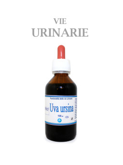 UVA URSINA vie urinarie