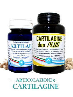 KIT ARTICOLAZIONI E...