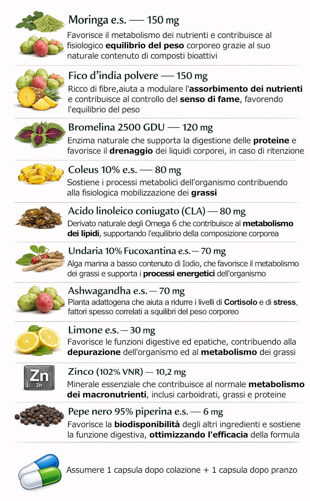 composizione per dieta 2.png